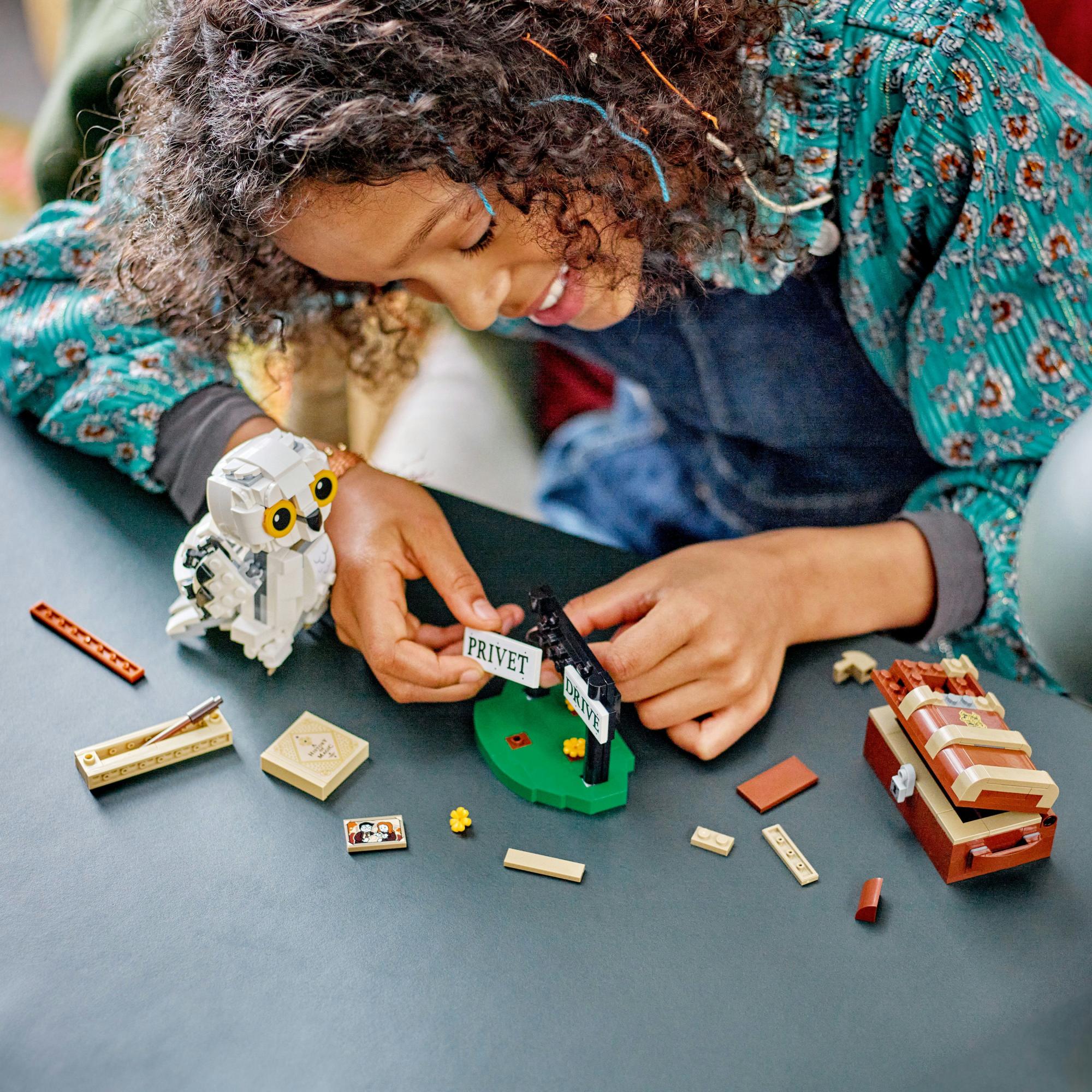 LEGO 76425 Harry Potter Hedwig on Privet Drive