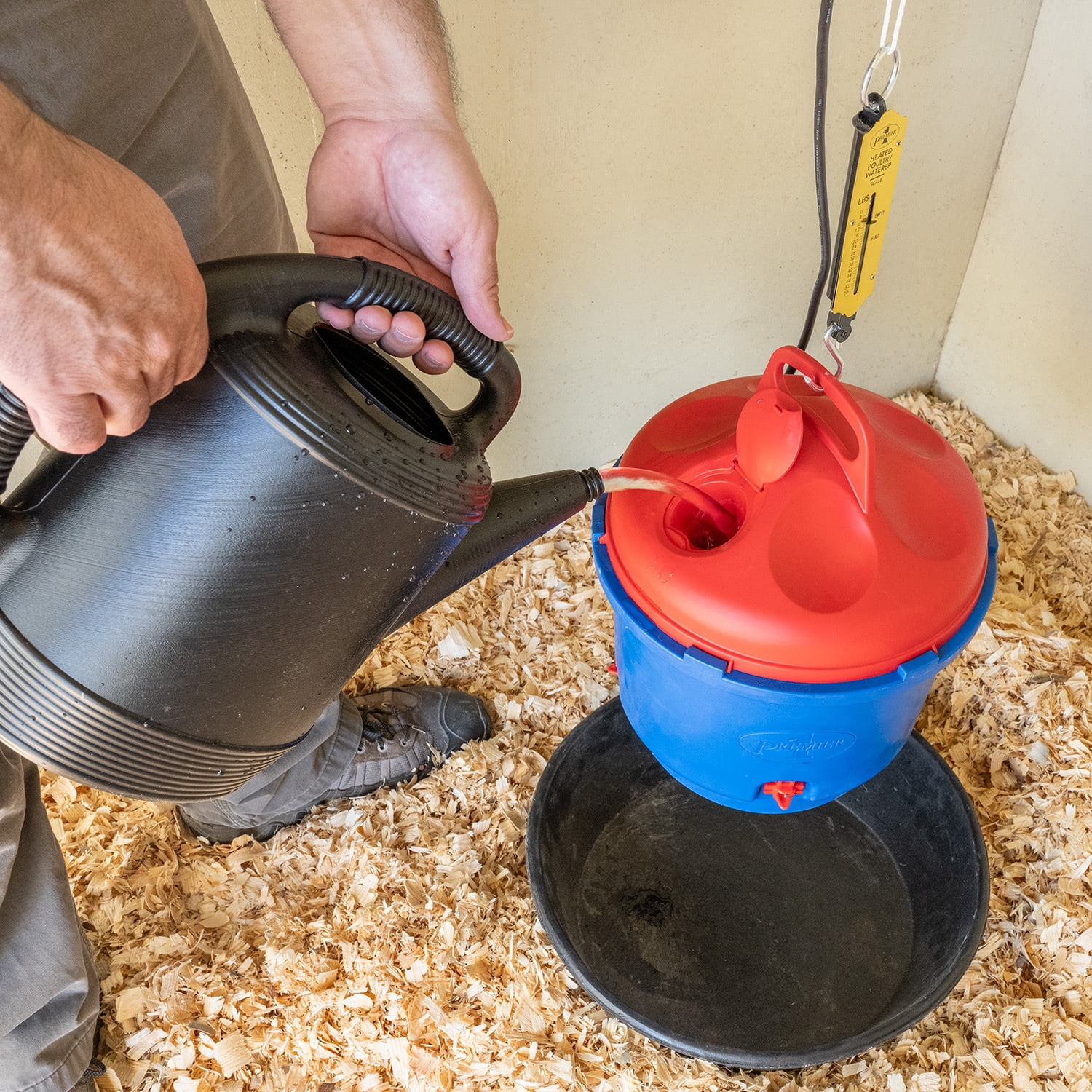 Premier 1 Heated Chicken Coop Water Fountain, 3 Gallon Bucket