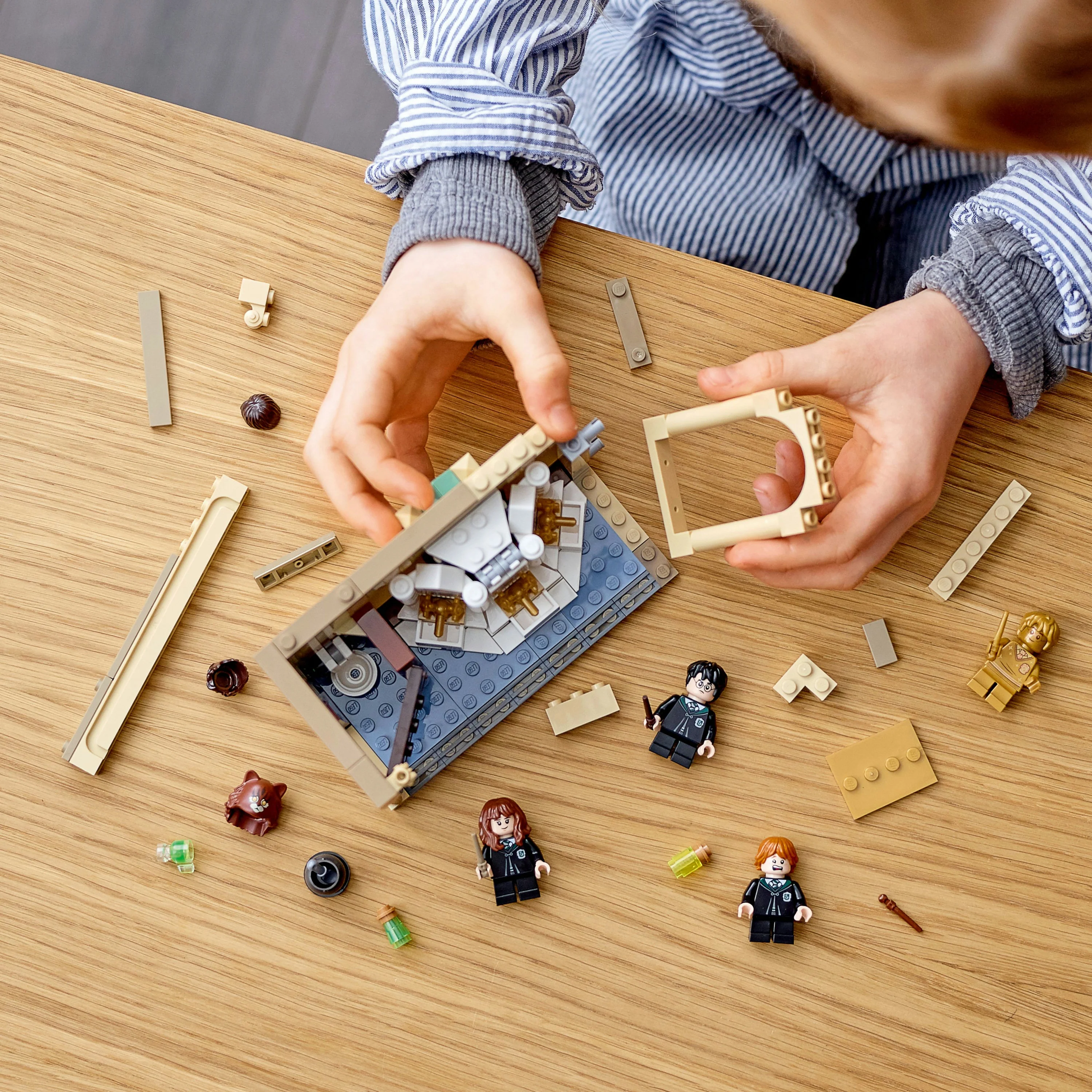 LEGO Harry Potter HW: Missl. Polyjuice Tr - 76386