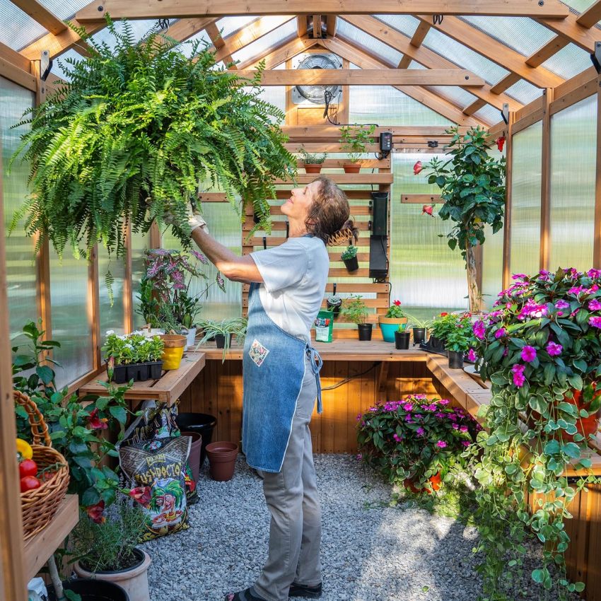Backyard Discovery Bellerose Traditional Wood Greenhouse.Al