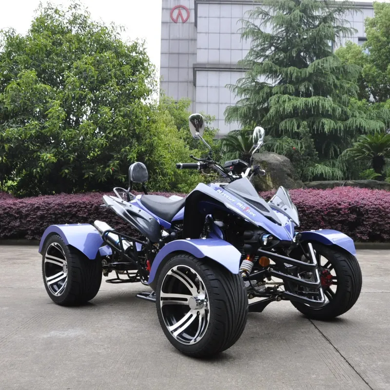 300CC ATV.Quad Bike - Online Shop