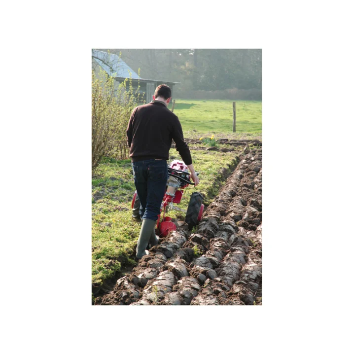 Honda F560 Large Garden Petrol Rotovator Tiller - Online Shop